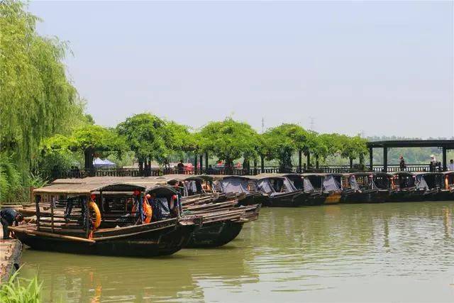 走進(jìn)常熟沙家浜風(fēng)景區(qū),游濕地逛老街休閑度假好去處