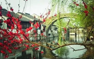 南潯古鎮(zhèn)坐一回?fù)u櫓船 春天是水上游古鎮(zhèn)最好時(shí)節(jié)