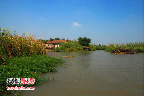 國慶預演 尋個鄉野味十足的悠閑地