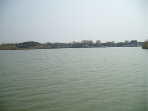 紅色經(jīng)典之旅 探訪常熟沙家浜革命圣地