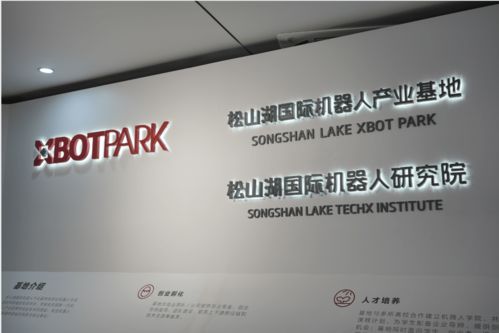 大灣區三地人 從香港創業到深圳成長，最終在東莞扎根的軟件開發之路
